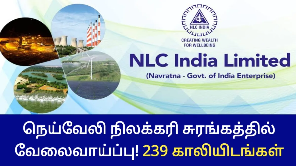 NLC நெய்வேலி நிலக்கரி சுரங்கத்தில் வேலைவாய்ப்பு! 239 காலியிடங்கள்