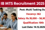 IB MTS Recruitment 2025